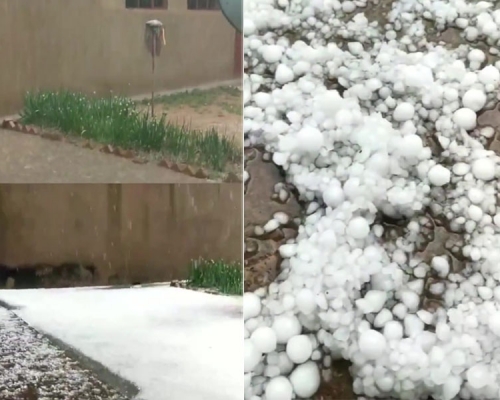 冰雹落入田間地頭，地上瞬間如同鋪了一層白雪。(網圖)
