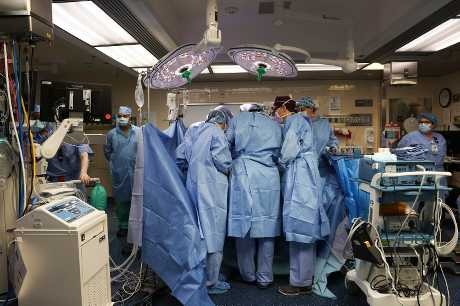 醫生當日做移植豬腎手術。美聯社