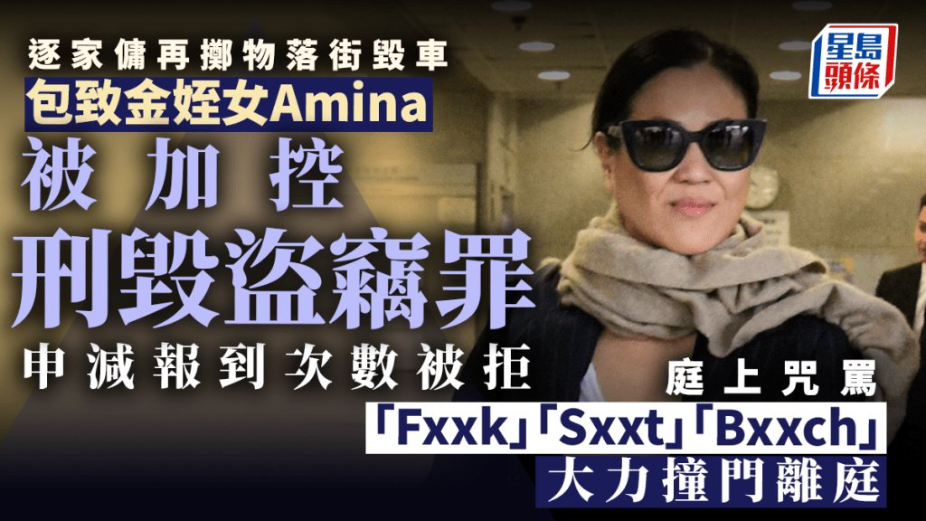 Amina被加控多項罪。