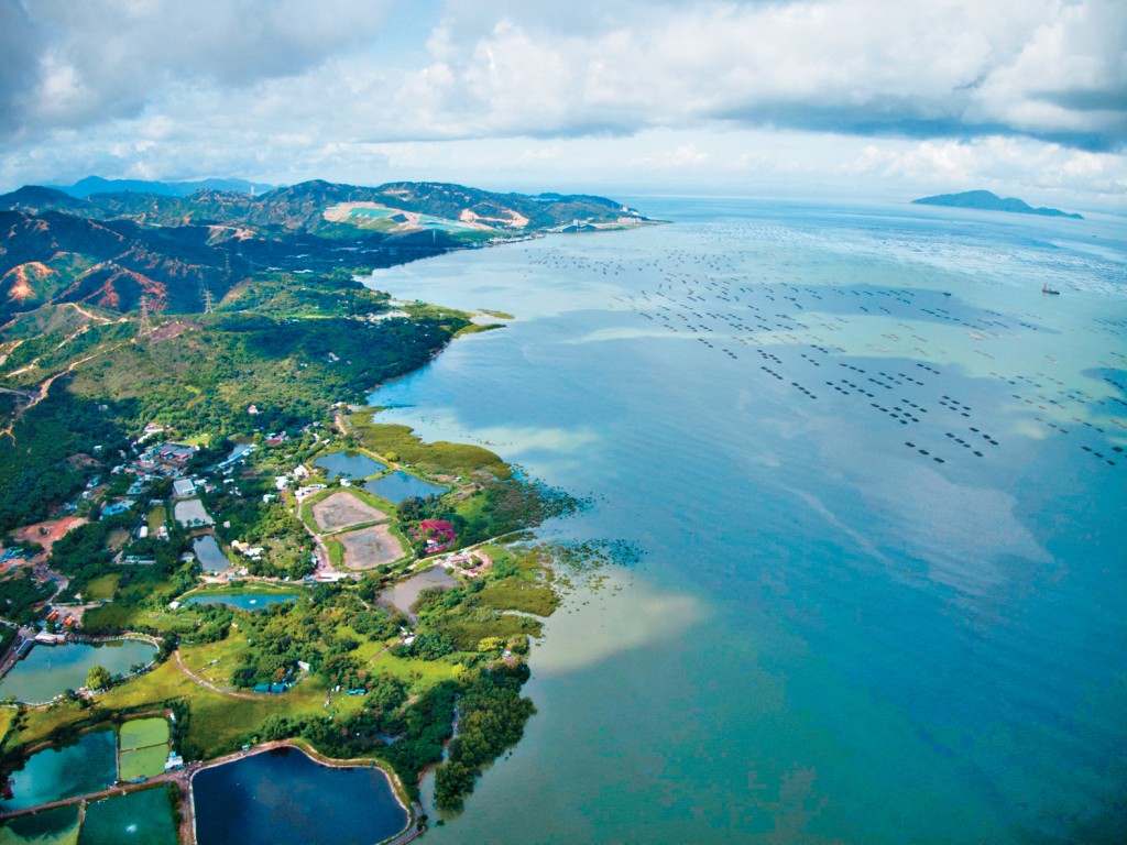 政府擬於尖鼻咀、流浮山及白泥設立海岸保護公園，早前已展開可行性研究並收集公眾意見。