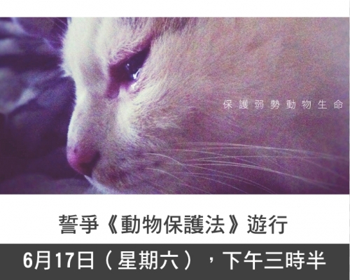 遊行於下午3時半開始,由中環遮打花園集合,遊行至立法會。「凝聚萬人,誓爭「動物警察」!我們,願為無聲的貓狗吶喊!」fb專頁圖片