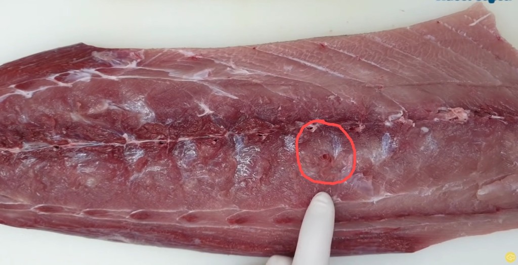 拍摄者从油甘鱼鱼肉上发现红色寄生虫。（YouTube影片截图）