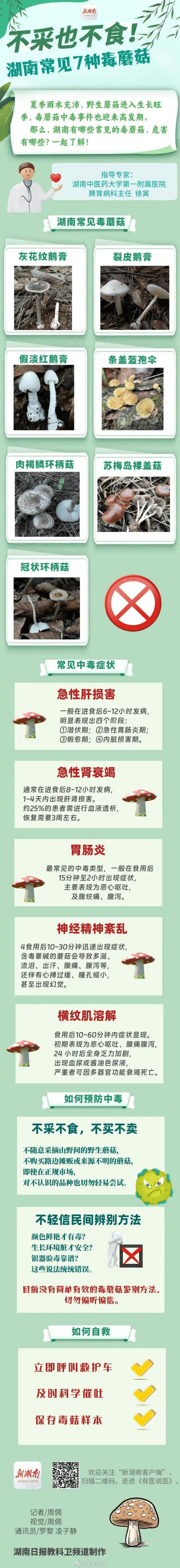 湖南常見7種毒蘑菇,中毒症狀及預防方法。 湖南常見7種毒蘑菇,中毒症狀及預防方法。