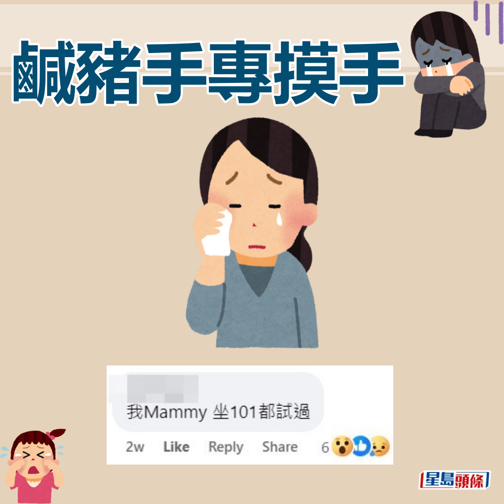 網民：我Mammy（媽咪）坐101都試過。FB截圖