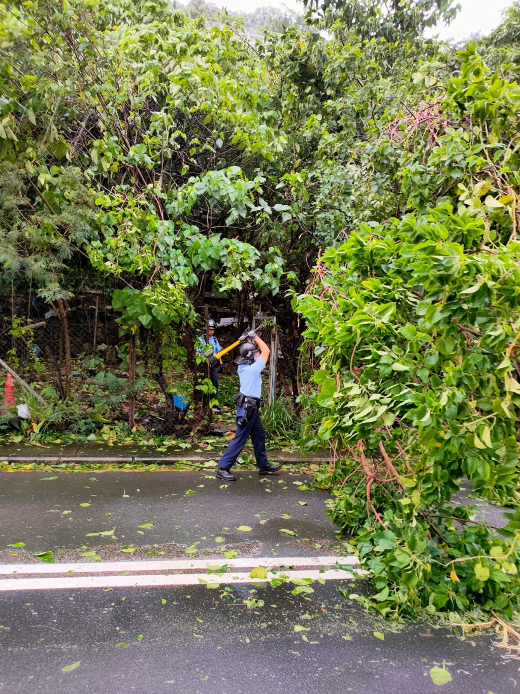 警察协助清理塌树。读者提供 ​