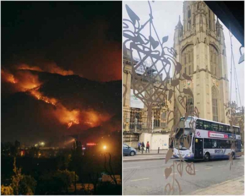 小王接連經歷英文疫情爆發及西昌山火。網圖