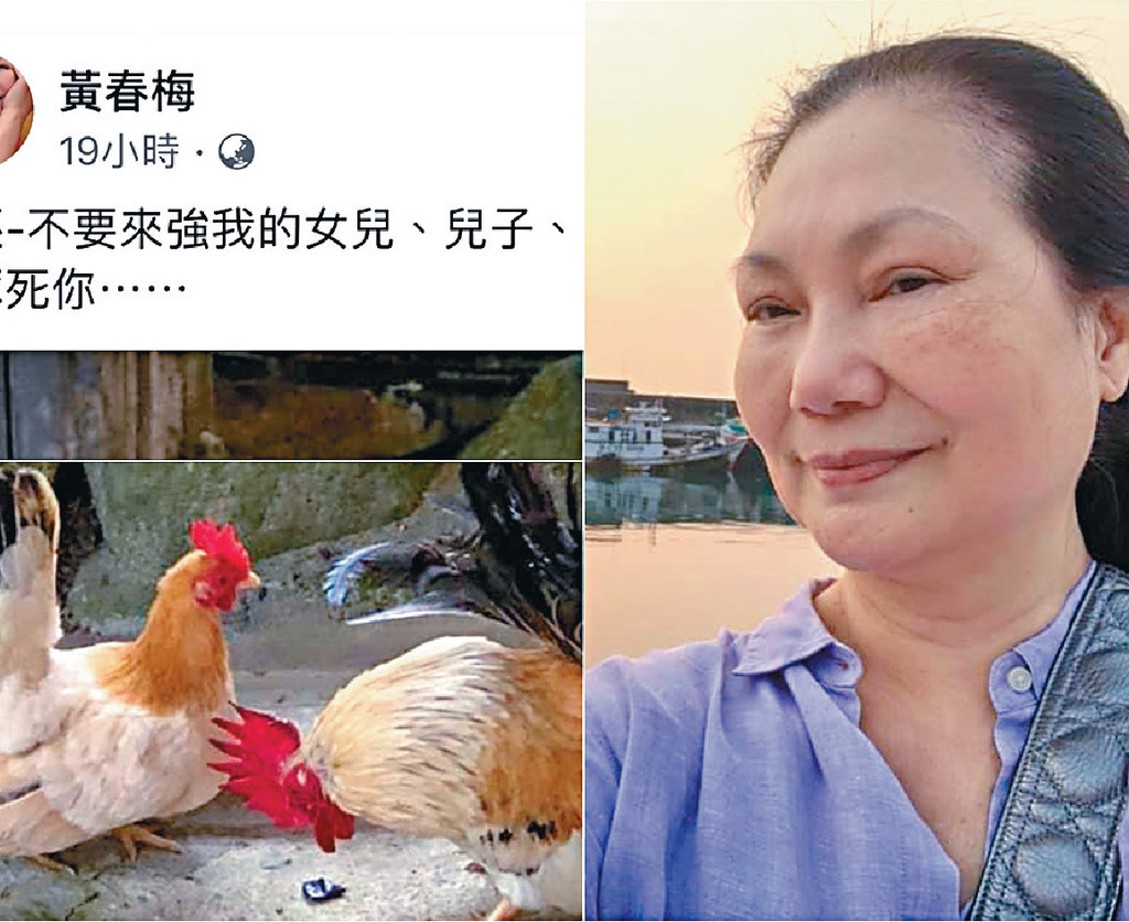 ■大S媽媽餘怒未消，上載鬥雞圖洩忿。