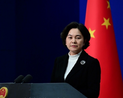 外交部發言人華春瑩。網上圖片