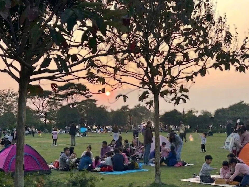 藝術公園(西九文化區)(圖片來源:香港旅遊發展局) 藝術公園(西九文化區)(圖片來源:香港旅遊發展局)