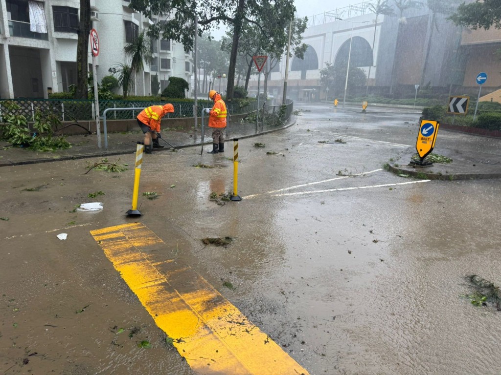 本港多區出現塌樹、水浸及山泥傾瀉的情況。FB「下水水」圖片