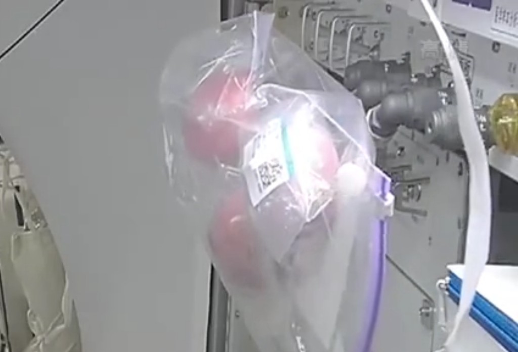 陝西華聖現代農業集團指花了逾180天籌備和努力,首次將即食蘋果送上太空。網片截圖