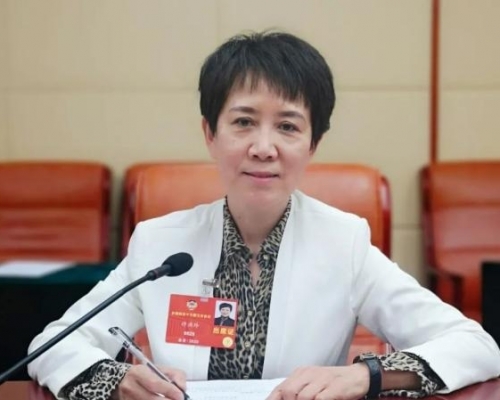 全国政协委员、南开区政协副主席许洪玲。(网图)