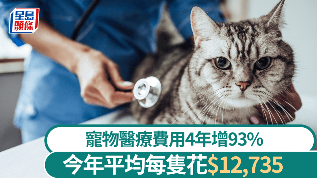 OneDegree理賠數據指寵物醫療費用4年增93% 今年平均每隻花12,735元