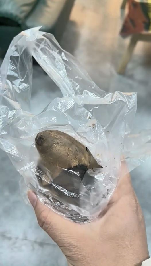 大叔用賣剩的烤番薯向寵物店換來短暫的逗貓時光。抖音@無敵奶爸