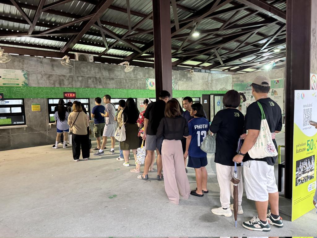 「彈跳豬」爆紅吸引大批遊客參觀動物園。  Khao Kheow Open Zoo