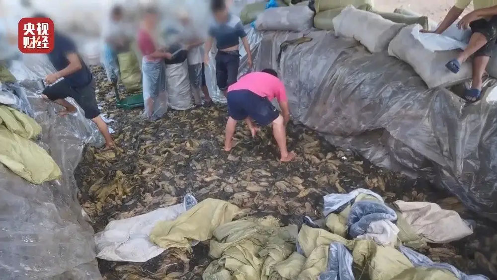 湖南岳陽4名幹部因「土坑酸菜」被追責。