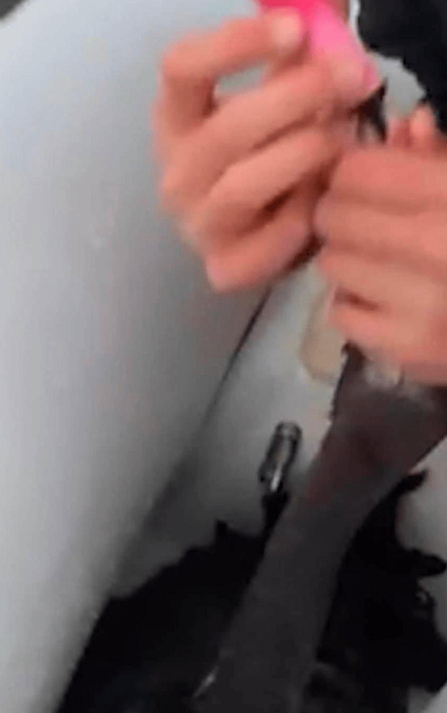 画面显示,一名少年画面显示,一名少年抓住黑天鹅按的头部及鸟嘴,强迫牠吸入电子烟烟雾。FB@Animals First Australia (下同) 画面显示,一名少年画面显示,一名少年抓住黑天鹅按的头部及鸟嘴,强迫牠吸入电子烟烟雾。FB@Animals First Australia (下同)