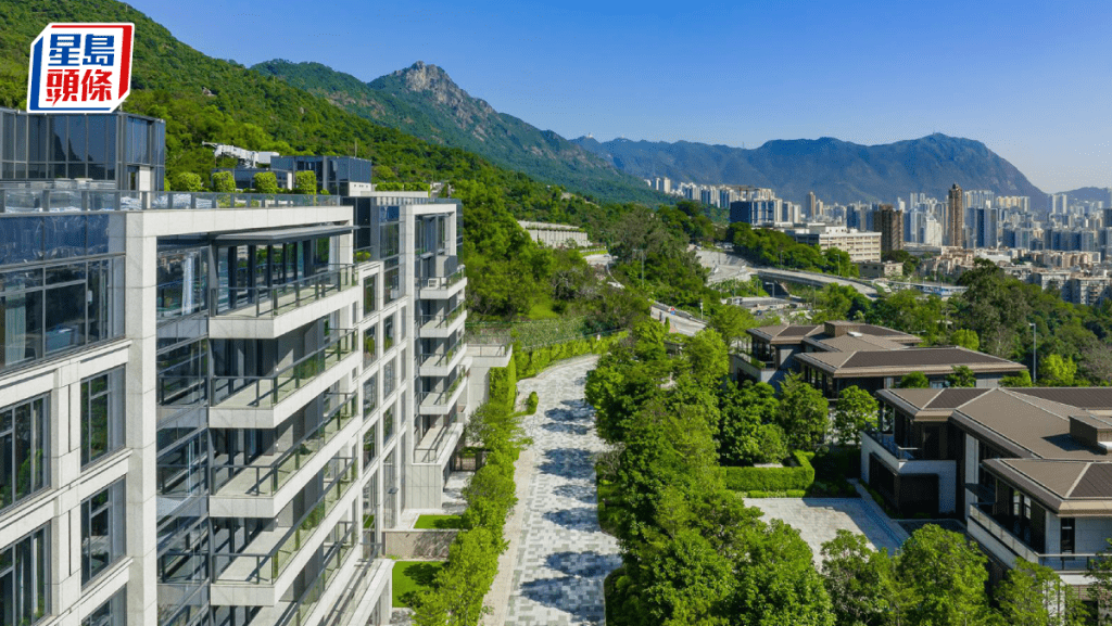 緹外4房大宅2.3億招標沽 每呎5.13萬