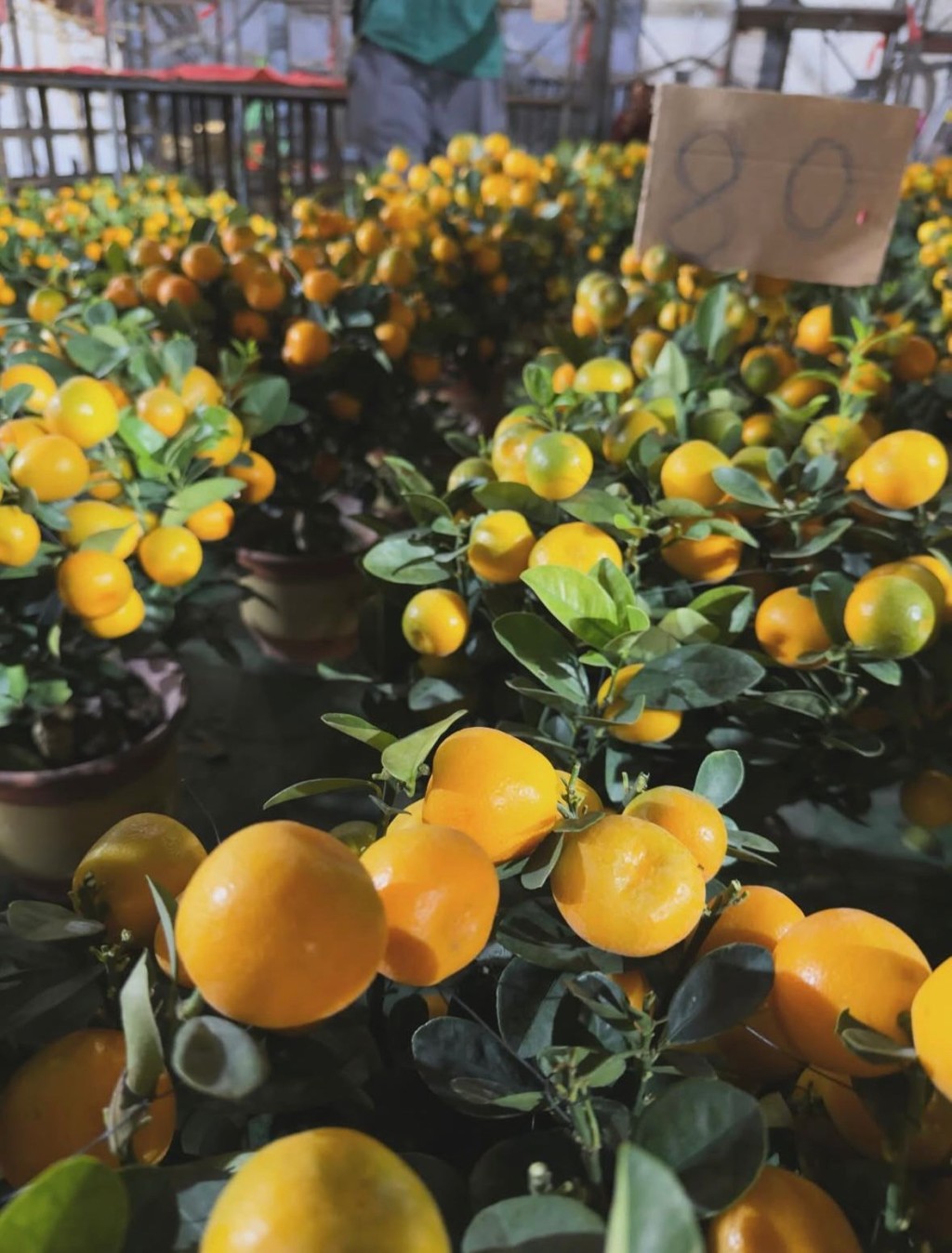 當然唔少得「桔」。