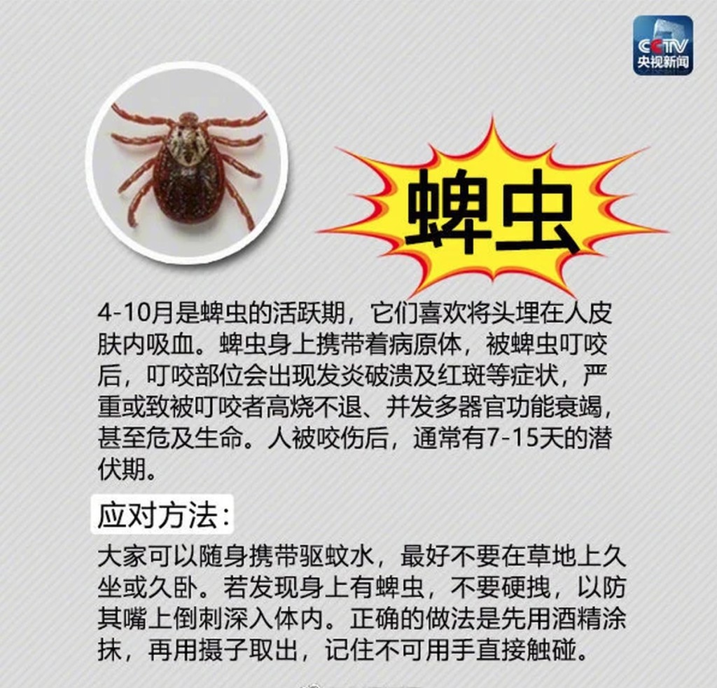 有關蜱蟲。 央視