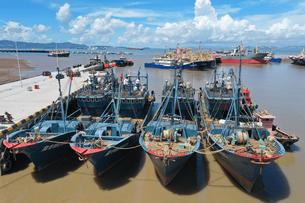 7月25日，在浙江省玉環市大麥嶼漁港碼頭，漁船停靠在避風港內。