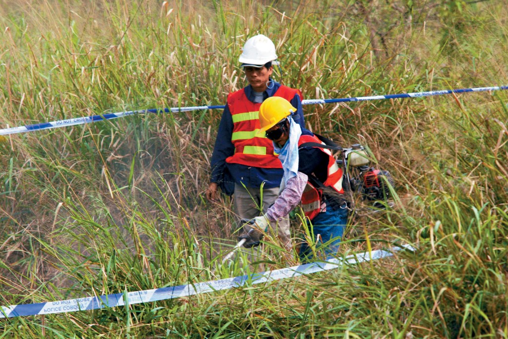 有工會指，前線清潔工及園藝工人亦是遭蜂類毒蟲襲擊的高風險人士。