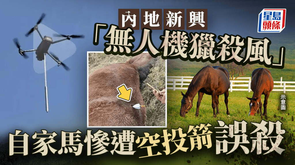 多地興起無人機獵殺風 家畜頻遭空投箭矢射死