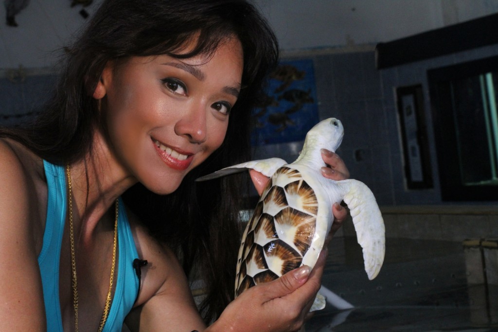 郭秀云亦关注海龟、大象等野生动物保育。