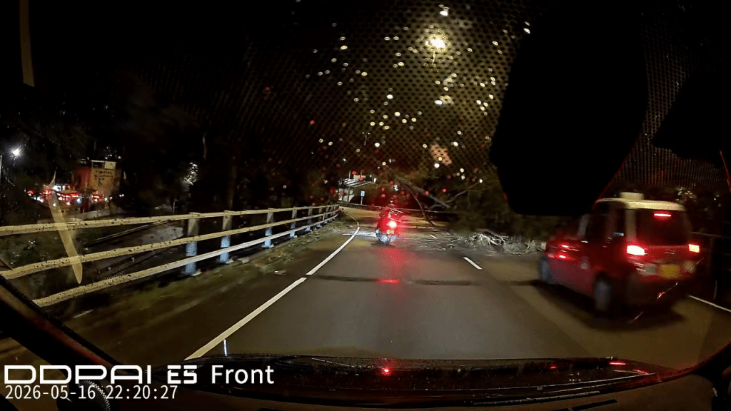 有車Cam拍攝到事發前10分鐘，亦有的士直撞塌樹。FB：DelightfulQuince2481@車Cam L香港群組