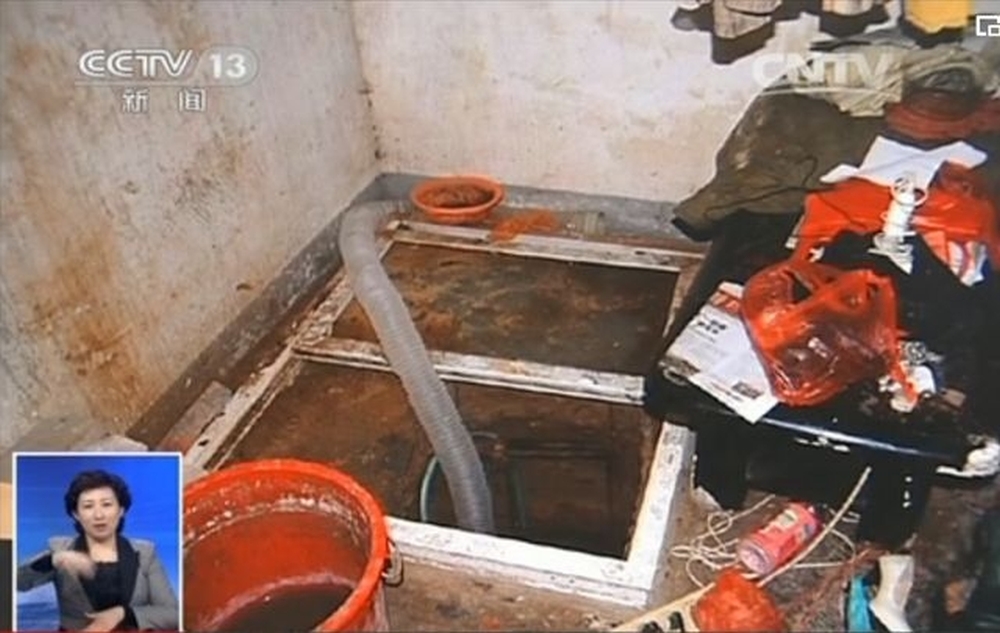 李浩擁有挖地窖的知識。 央視截圖 李浩擁有挖地窖的知識。 央視截圖