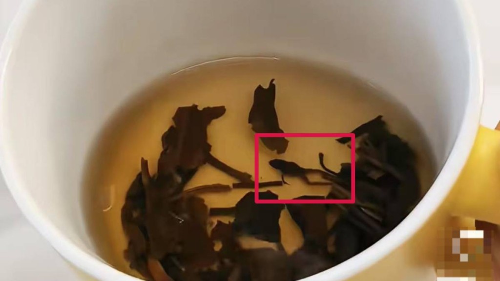 奈雪的茶疑喝出蛙屍。網圖