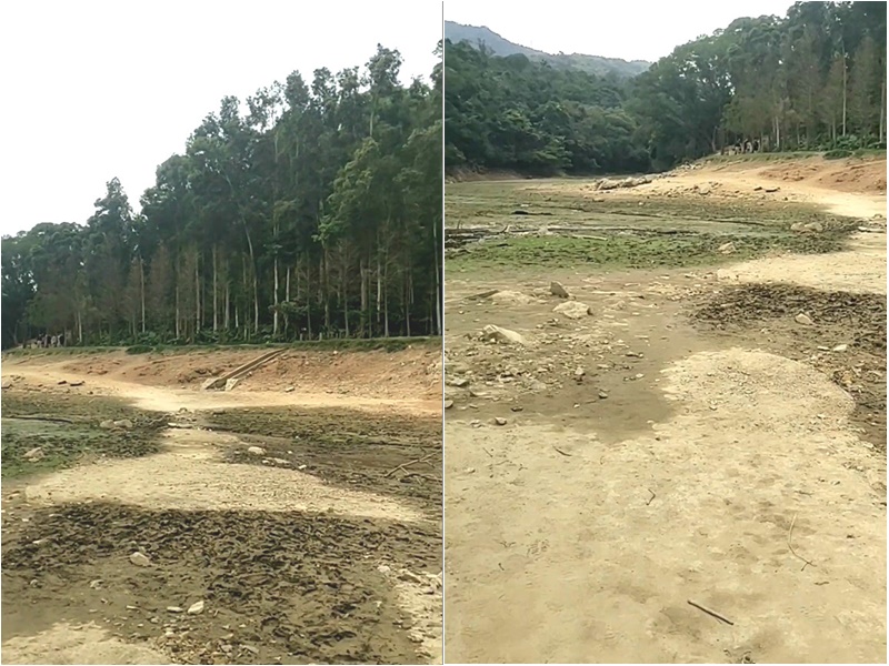 藝人章志文今年3月上載片段,見到流水響水塘底部附近所見都是龜裂的泥地。影片截圖