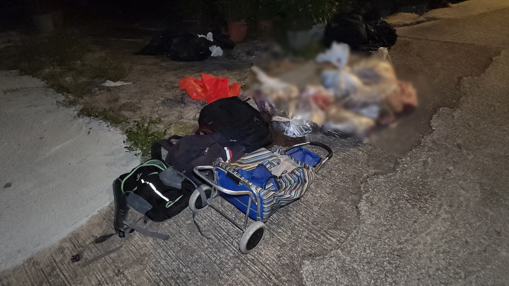 警員在兩部買餸車內驚揭兩頭遭宰殺的小野豬。