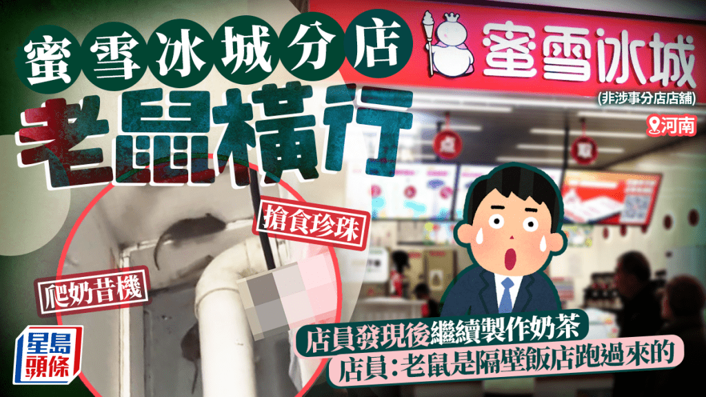 蜜雪冰城︱河南分店驚現老鼠橫行  搶食珍珠爬奶昔機︱有片