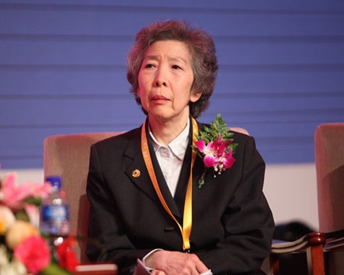 伍淑清成為香港唯一候選人。網圖