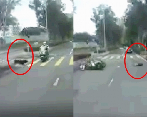一輛電單車與狗隻相撞。貓貓狗狗保護及領養區(香港)影片截圖
