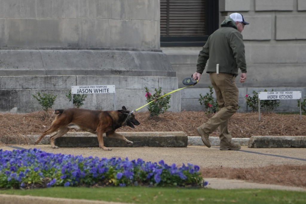 警犬进入密西西比州议会大厦寻找可疑物。 美联社