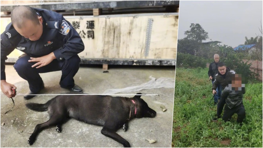 4漢涉用毒鏢射殺狗隻被捕。 微博圖