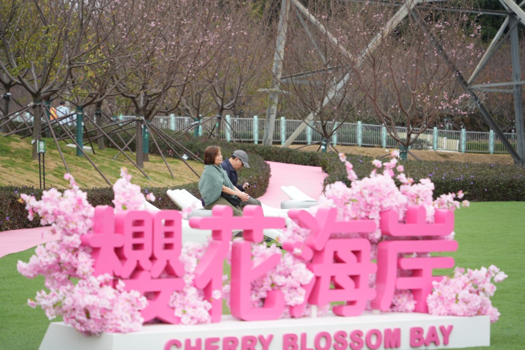 東涌赤鱲角機場櫻花園免費開放。