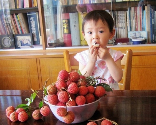 食安中心提醒小朋友一次不可食超過5粒荔枝。網圖/示意圖