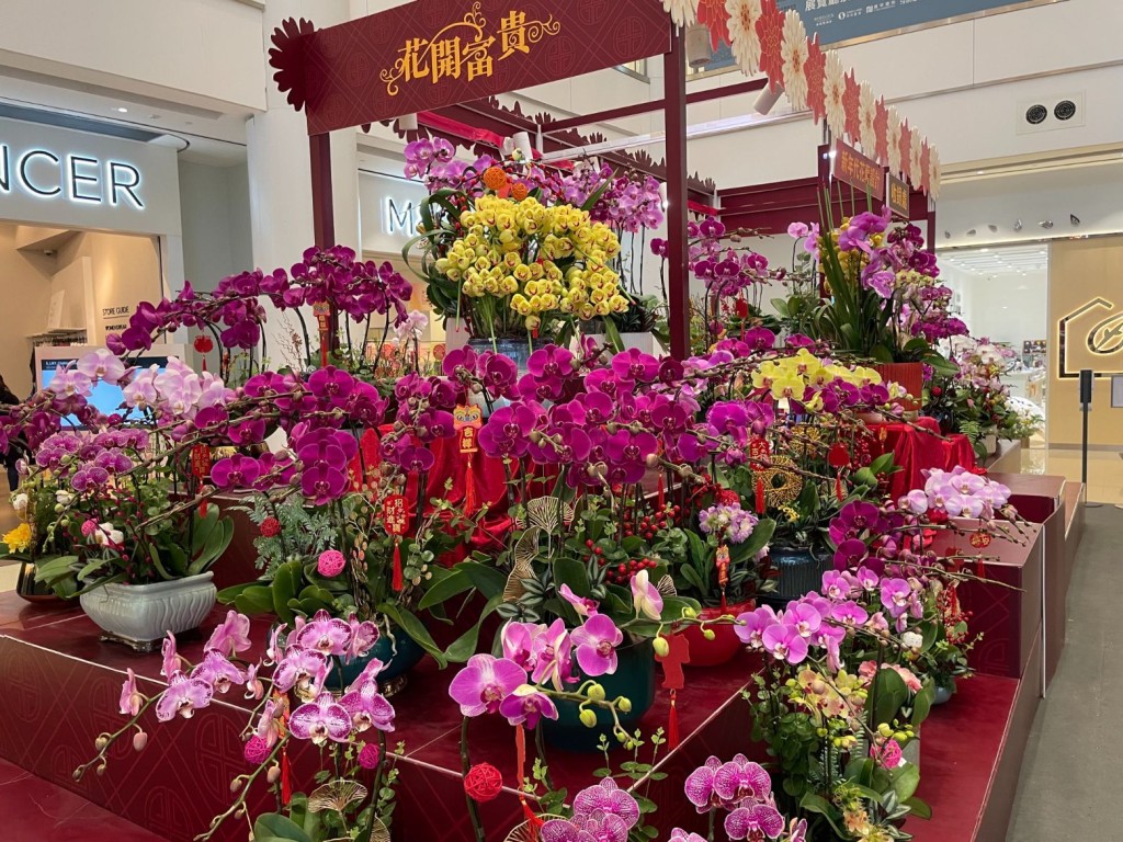 奧海城舉行新春百味市集,有多類年花及食品出售。