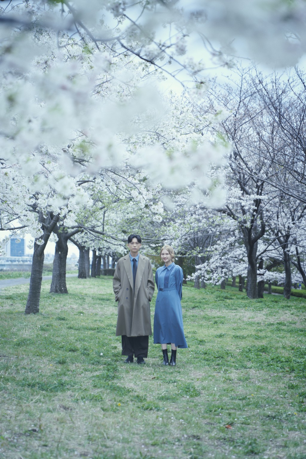 Cath邀請盧鎮業去日本拍攝《哀傷的作者》MV。
