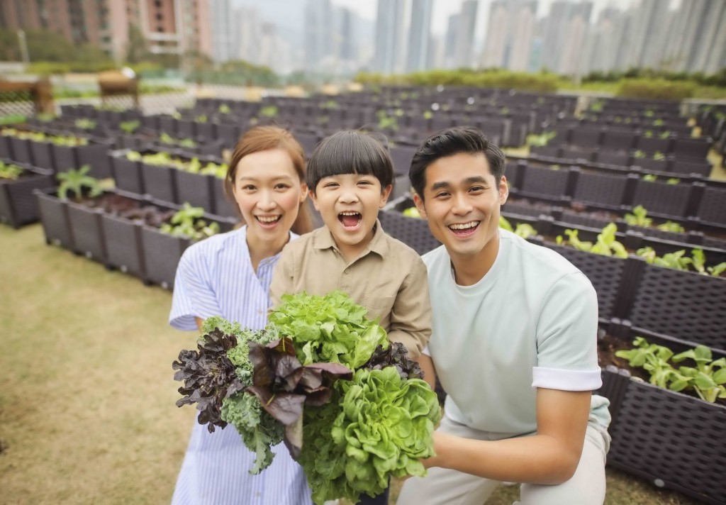  即日起至至5月16日，青衣城2期天台平台花園打造了一個近4,000呎的都市農莊，並舉辦慈善「親子農耕樂」。
