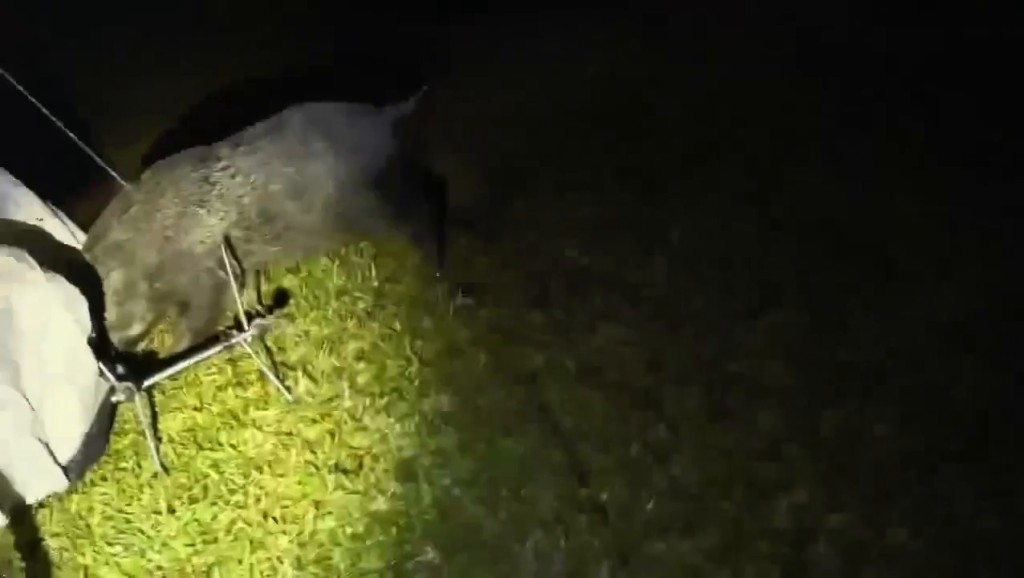 Threads截圖(資料來源:szewai_li@Threads) Threads截圖(資料來源:szewai_li@Threads)