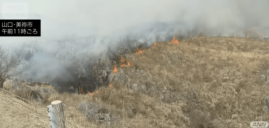 警方初步表示,死者為參與點火的工作人員之一,山坡起火後火勢迅速蔓延,其衣物遭火焰波及。ANN NEWS 警方初步表示,死者為參與點火的工作人員之一,山坡起火後火勢迅速蔓延,其衣物遭火焰波及。ANN NEWS