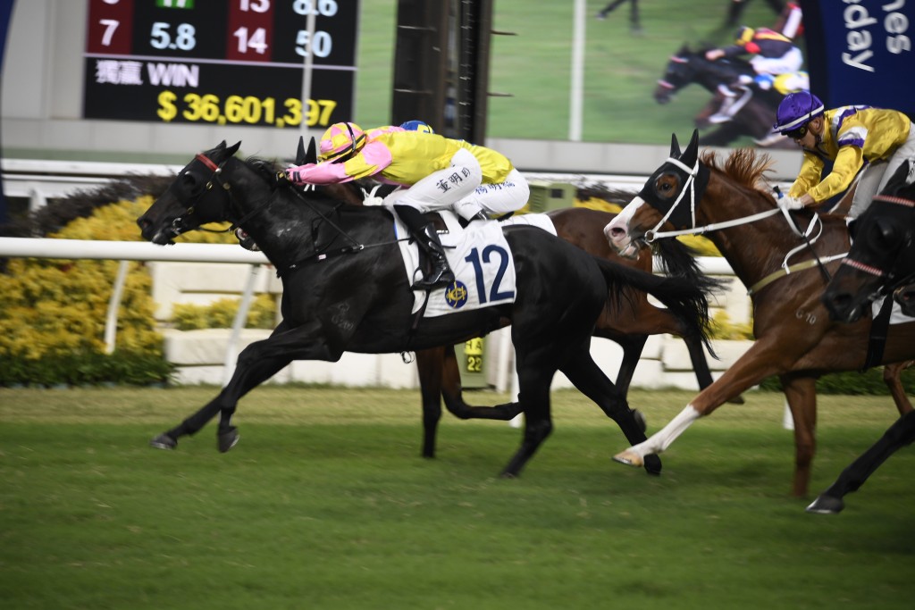 「自力更生」臨場如能發揮出今季初在同程贏馬時水準，有力走入前列。