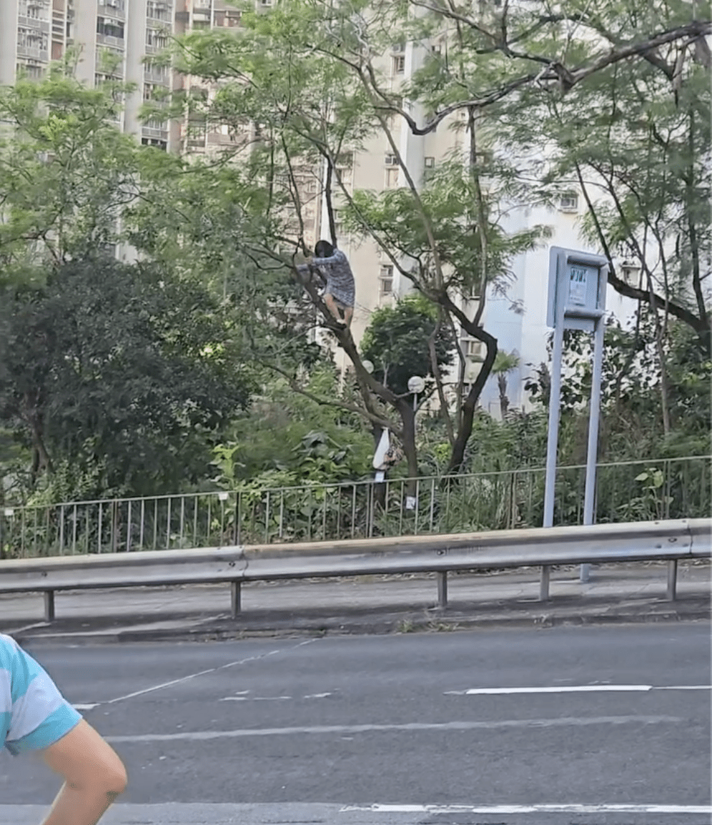 女子一度轉身嘗試爬下。Facebook 香港交通及突發事故報料區 影片截圖 女子一度轉身嘗試爬下。Facebook 香港交通及突發事故報料區 影片截圖