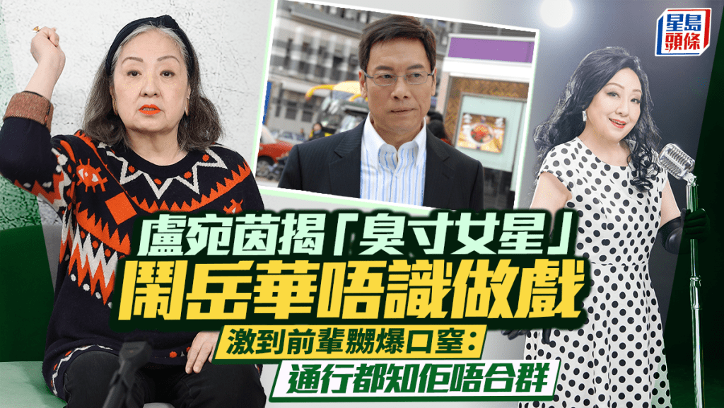 盧宛茵揭「臭寸女星」鬧岳華唔識做戲  激到前輩嬲爆口窒：通行都知佢唔合群