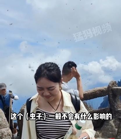 遊客對黃山蓮花峰頂上的小飛蟲感到恐懼。