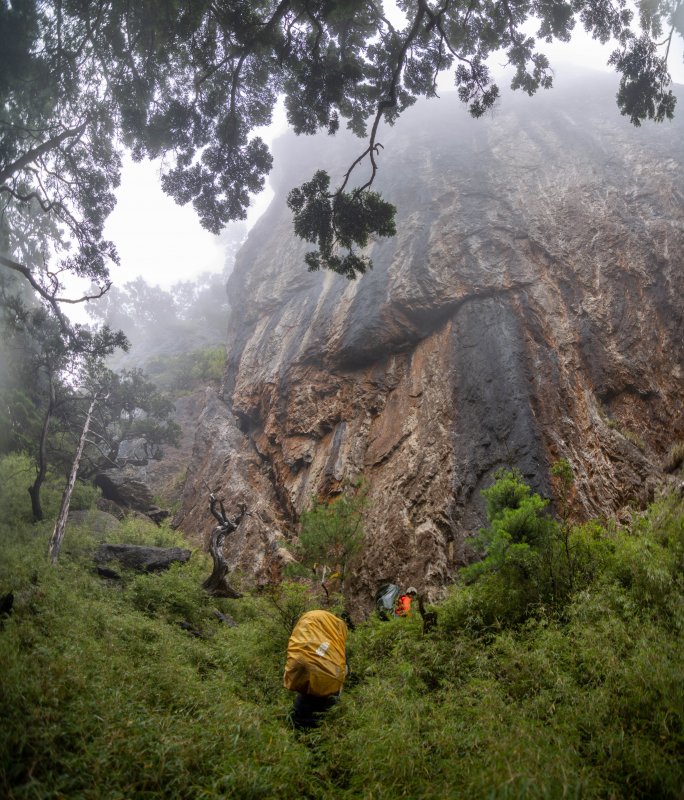 花蓮高安山區吸引挑戰者遠足登山。